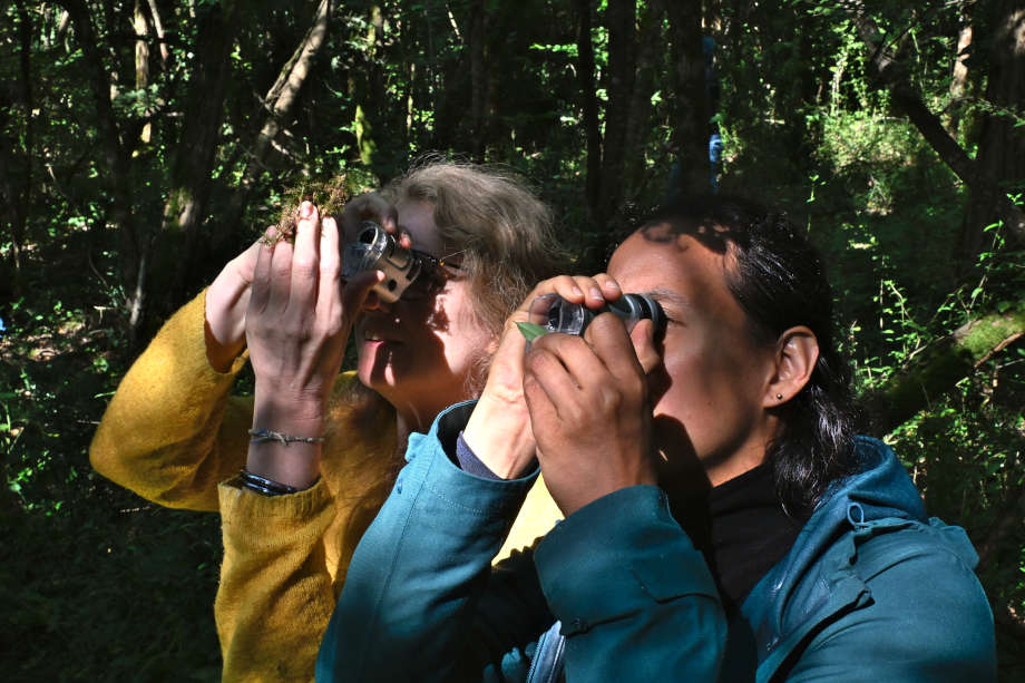 vacances en forêt